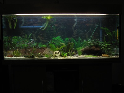 Panoramablick ins neue Becken