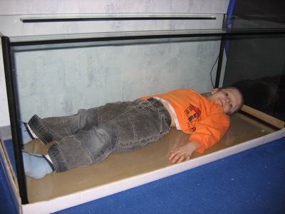 Das neue 300 Liter Becken noch leer, mein Sohn liegt darinnen bequem