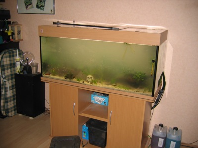 Das neue 300 Liter Becken, ein Blick nach Fertigstellung mit Trübung
