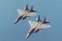 F-15 im Patroillienflug